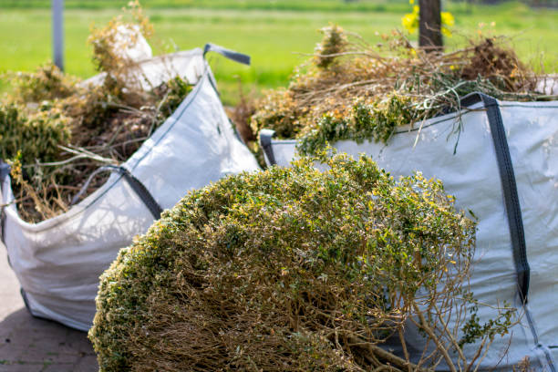 Best Electronics Removal Services  in Belton, SC